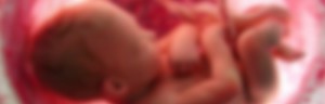 foetus-baarmoeder-lipspleet